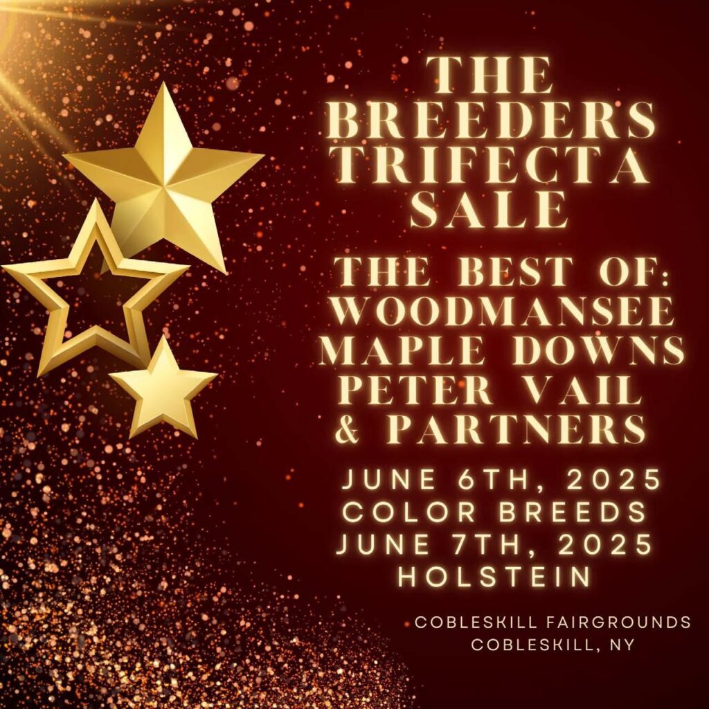 Khám Phá Xổ Số Miền Bắc 14 Tháng 9 – Cổng Ngõ Đến Thành Công