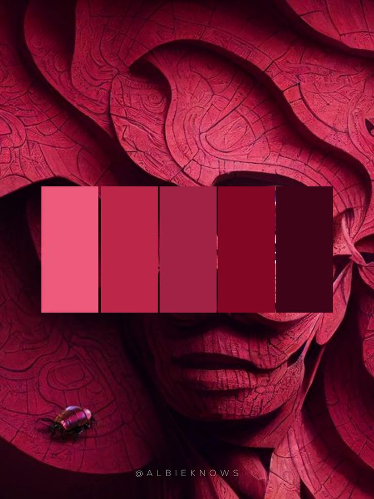 Socolive.Adult Giải Trí Đỉnh Cao Không Giới Hạn