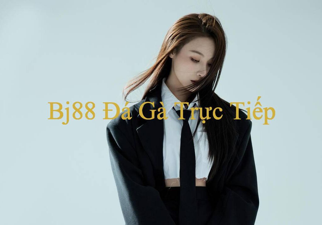 Khám Phá Môi Trường Thú Vị Của Xstd 30 Ngay Nơi Thú Chơi Đỉnh Cao