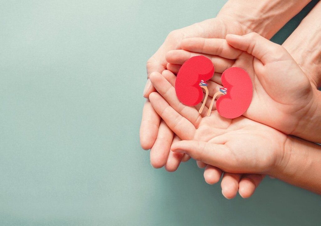 Khám Phá Thế Giới Cá Cược Trực Tuyến Thú Vị Tại Https 8Kbet.Za.Com