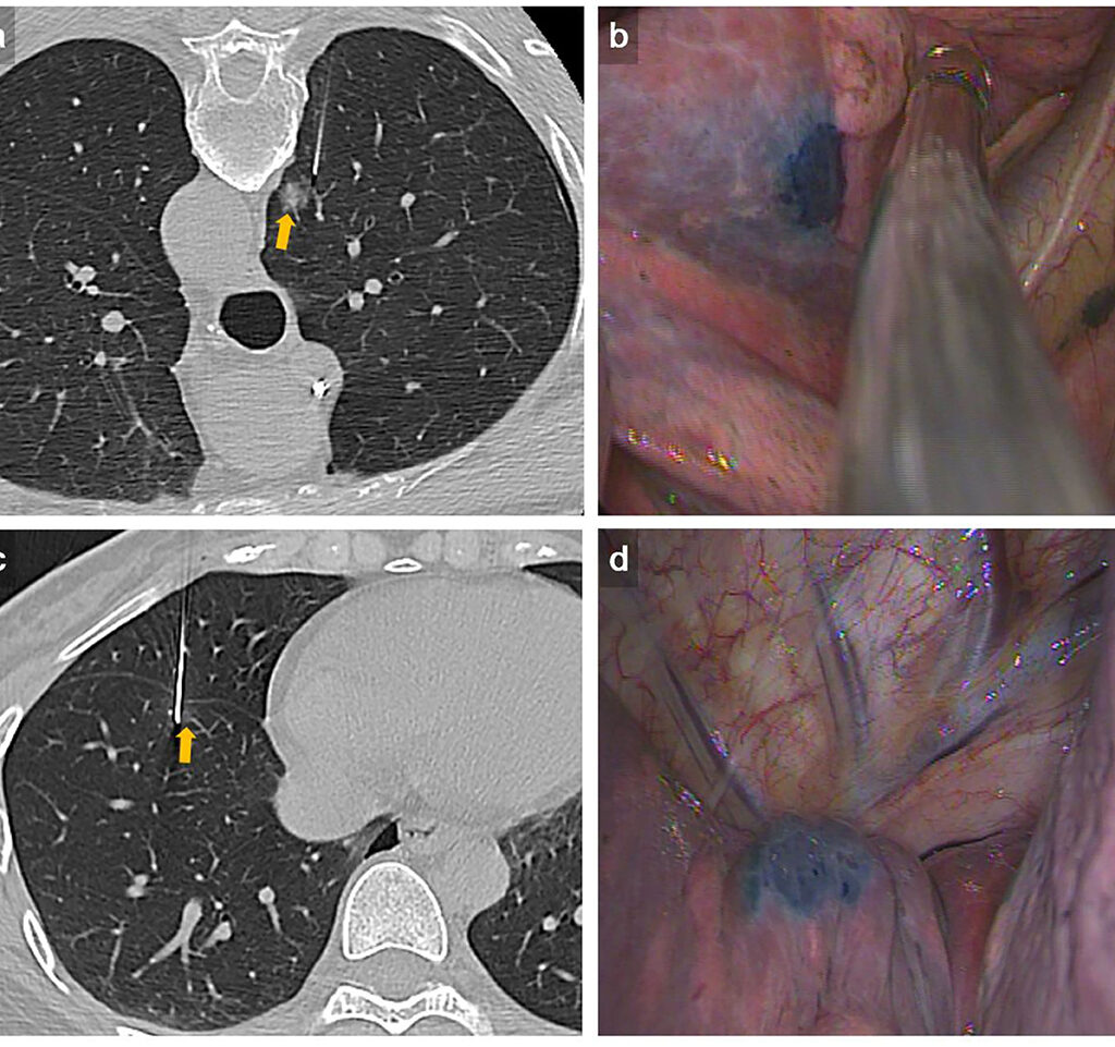 Review Khu Du Lịch Suối Mơ Khám Phá Thế Giới Cá Cược Trực Tuyến Đỉnh Cao Sự Lựa Chọn Hoàn Hảo Cho Người Chơi Việt