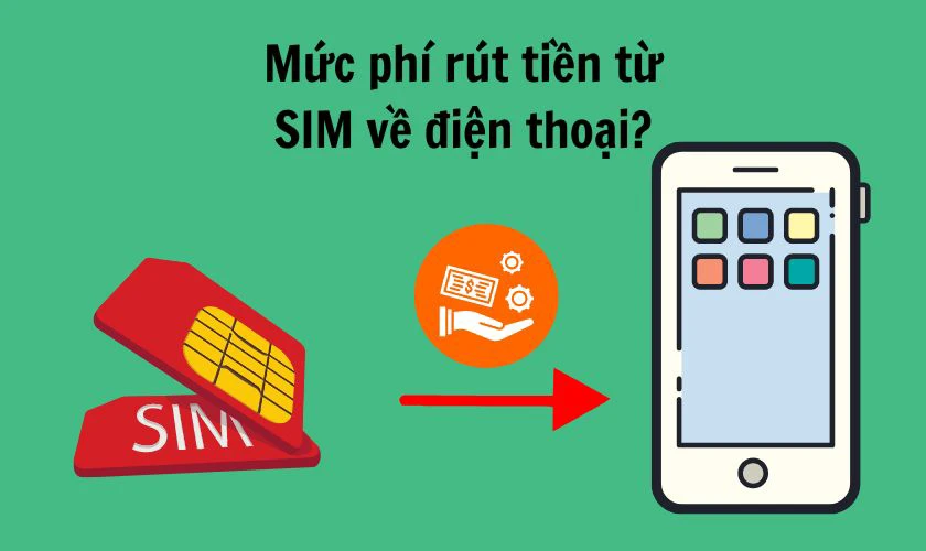 Quy Nhon Review Hướng Dẫn Chi Tiết Và Những Lưu Ý Quan Trọng