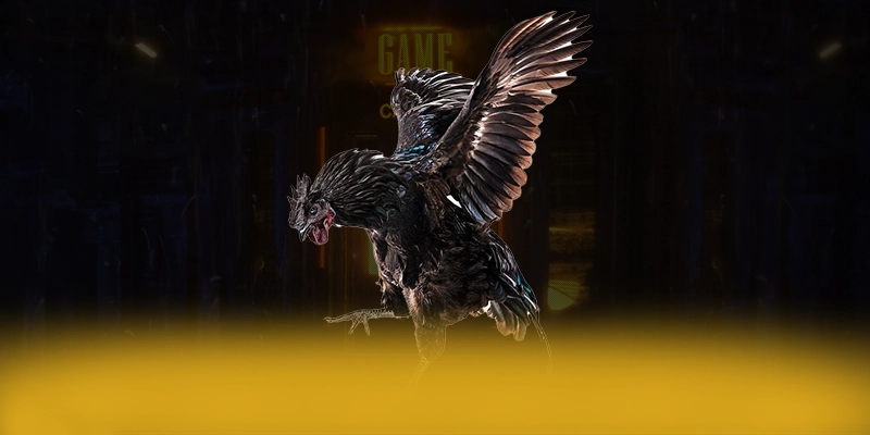 LC88 - Sân chơi đạt chuẩn quốc tế 2025 – Khám phá LC88