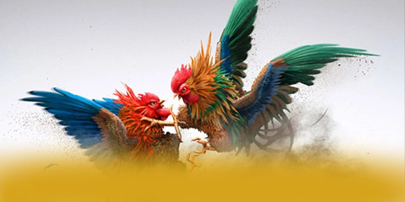 W88 - Kết luận và đánh giá chung với đầy đủ ưu điểm nổi bật.