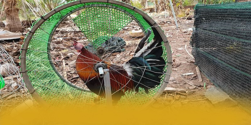 WIN79 – Sảnh game có thưởng lớn, được cộng đồng đánh giá tích cực.