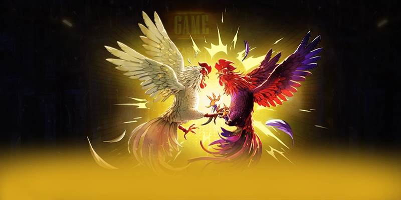 WIN79 - Trang game đang được quan tâm hàng đầu trong cộng đồng game thủ – Khám phá ngay các trò chơi tại WIN79