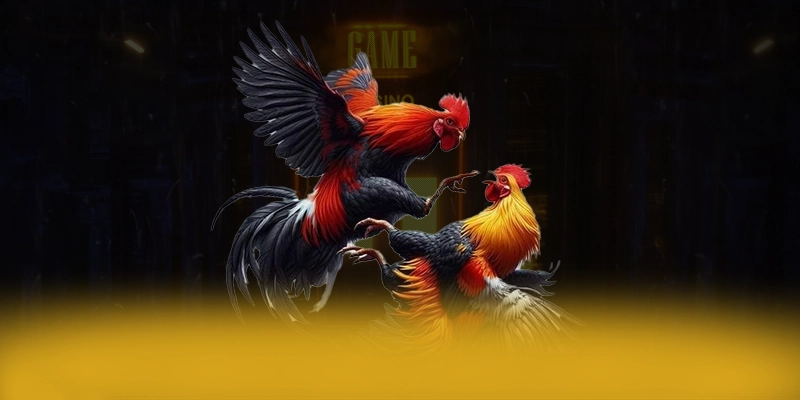 KKWIN - Cổng game bài được game thủ tin tưởng tại Việt Nam KKWIN - Cổng game bài được game thủ tin tưởng tại Việt Nam