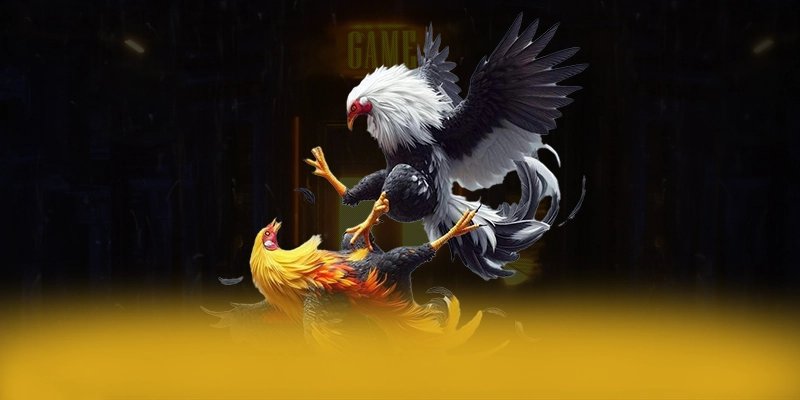 RR99 - Cổng cá cược an toàn được cộng đồng game thủ công nhận – Khám phá độ uy tín của RR99 RR99 - Cổng cá cược an toàn được cộng đồng game thủ công nhận – Khám phá độ uy tín của RR99