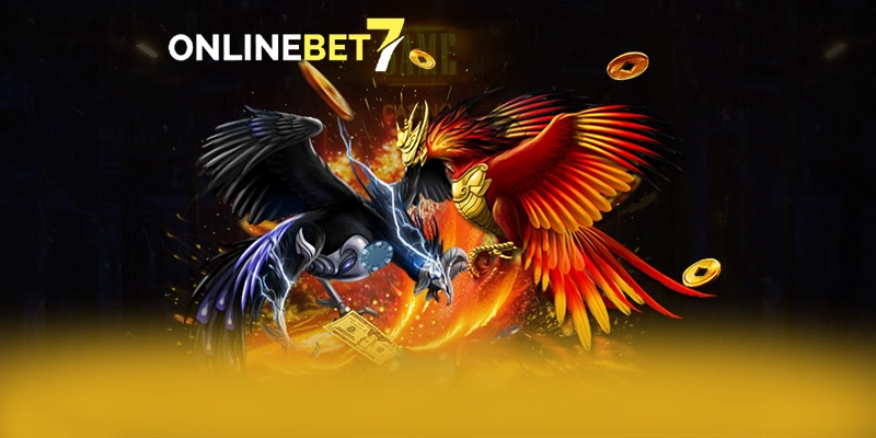 ZBET - Hỗ trợ người chơi đẳng cấp giải quyết mọi vấn đề