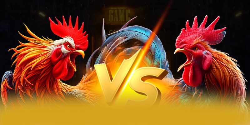 Kèo Worldcup - Cổng thể thao với tính năng cá cược trực tiếp đỉnh cao