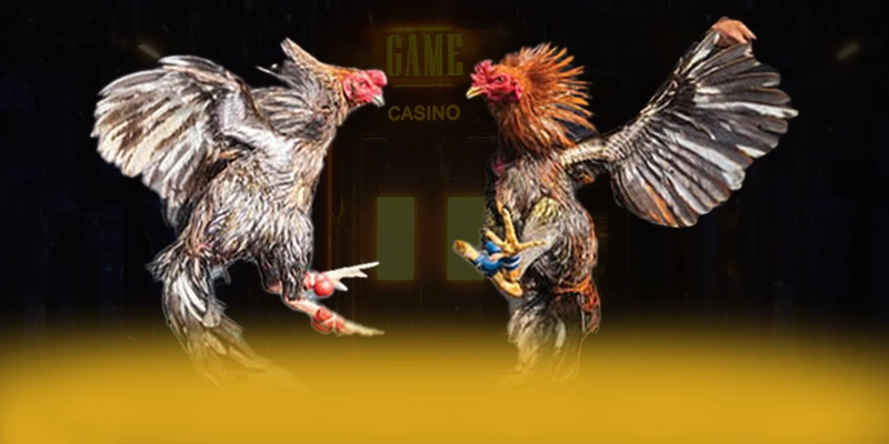 8XBET - Trang game quy tụ hàng trăm tựa game đỉnh tại Việt Nam